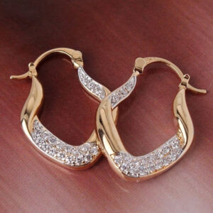 Silver Gold Hoop Earrings
